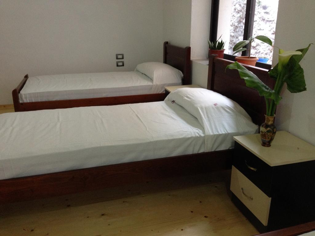 Eco Garten Guest House Shkodër Rum bild