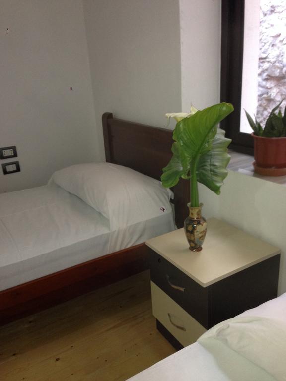 Eco Garten Guest House Shkodër Rum bild