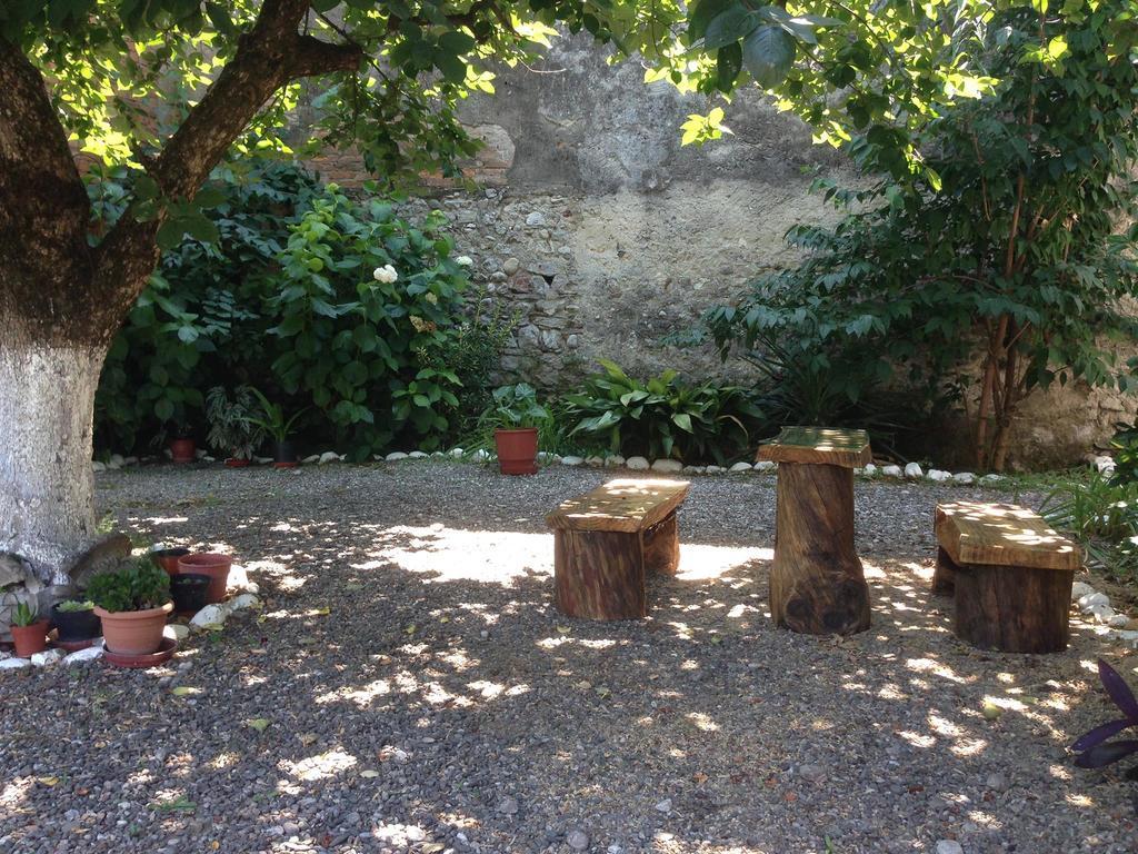 Eco Garten Guest House Shkodër Exteriör bild