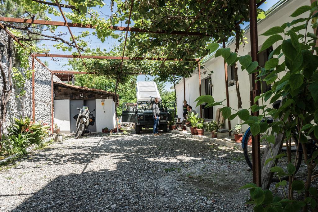 Eco Garten Guest House Shkodër Exteriör bild