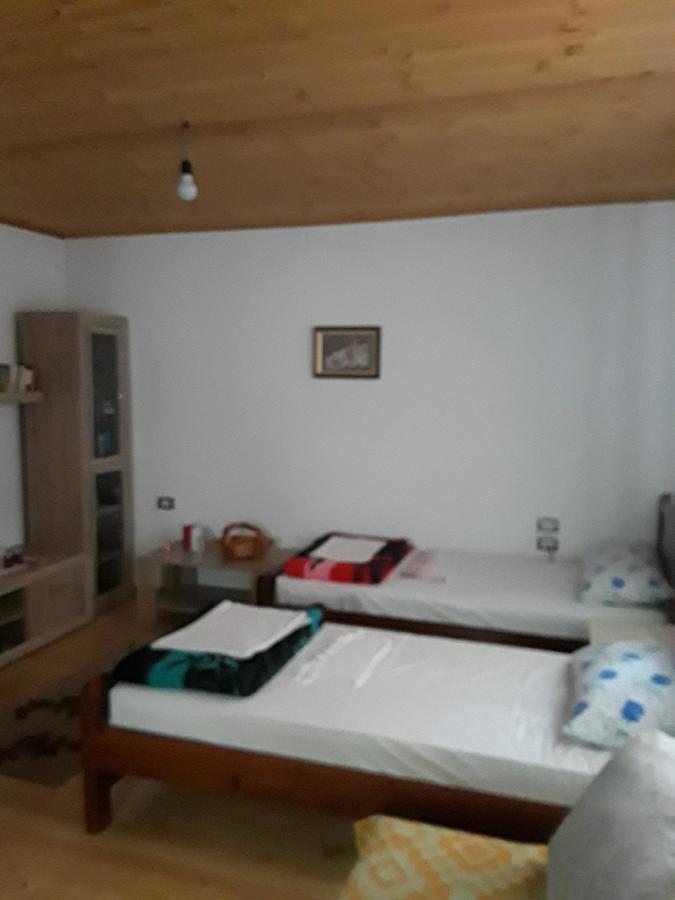 Eco Garten Guest House Shkodër Exteriör bild