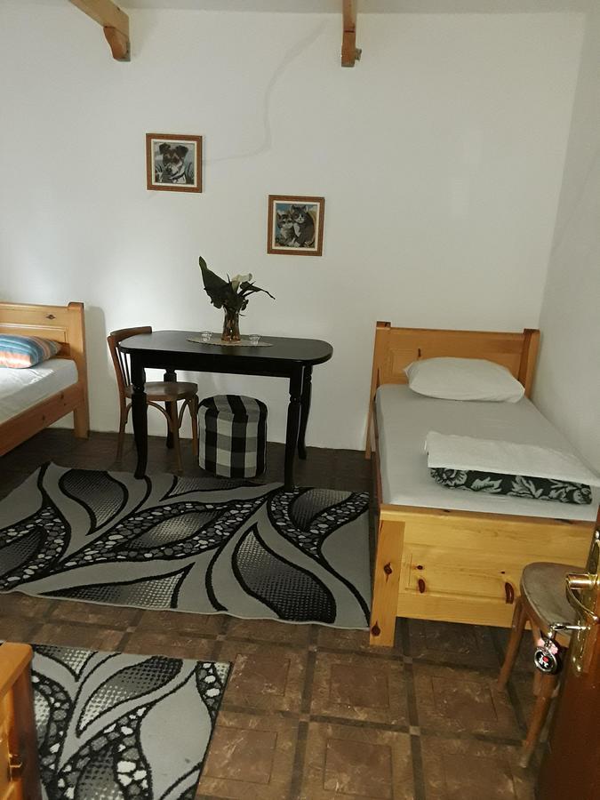 Eco Garten Guest House Shkodër Exteriör bild