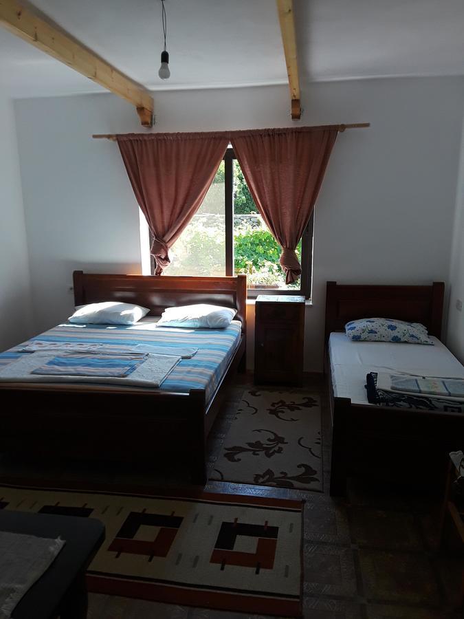 Eco Garten Guest House Shkodër Exteriör bild